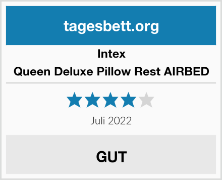 Intex Queen Deluxe Pillow Rest AIRBED Test